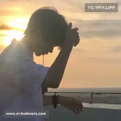 万桢翼